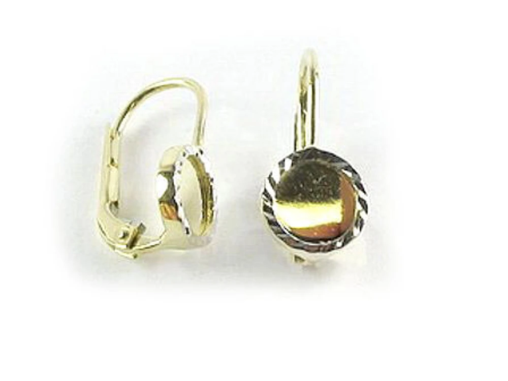 10K Yellow Gold Polished Lever Back Earrings