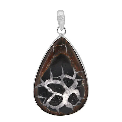 Sterling Silver, 31X45mm Sectarian Fossil Pendant