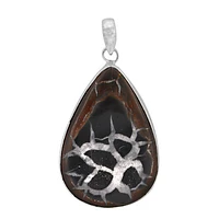 Sterling Silver, 31X45mm Sectarian Fossil Pendant