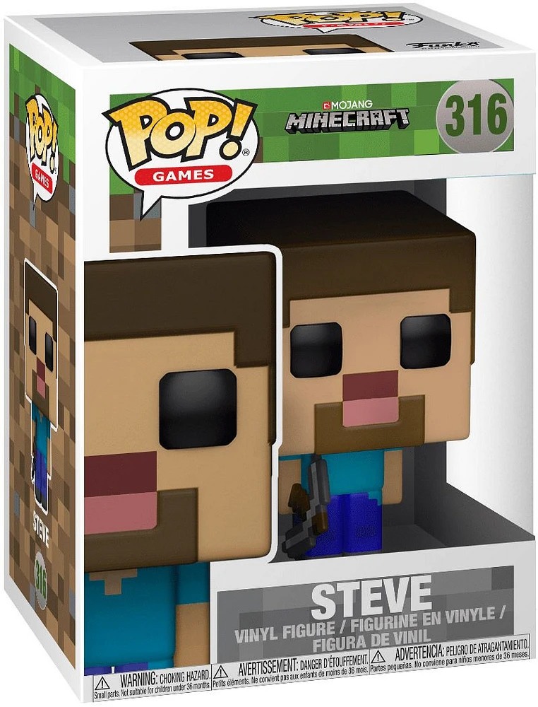 EY2 Minecraft : Steve
