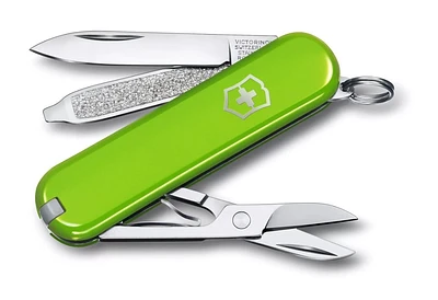 Victorinox Swiss Army Classic SD 58 mm Pocket Knife - Smashed Avocado Green