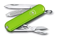 Victorinox Swiss Army Classic SD 58 mm Pocket Knife - Smashed Avocado Green