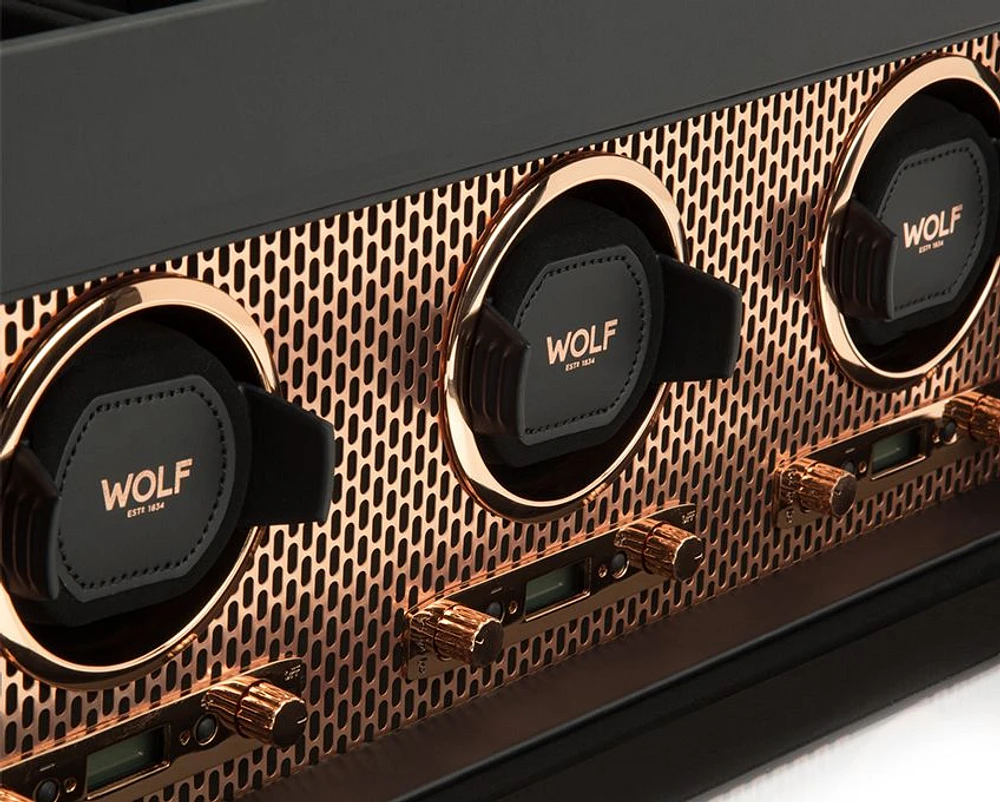 Axis Triple Watch Winder with Storage 