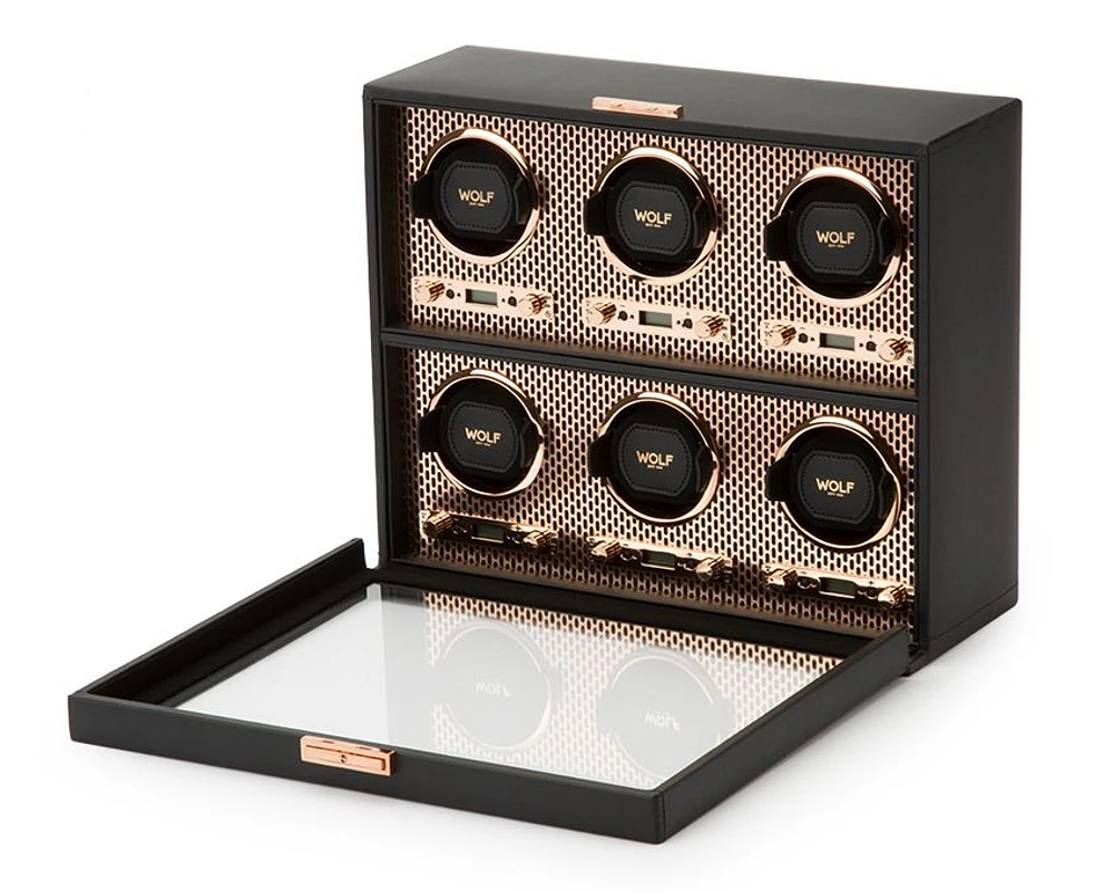 Axis 6 Piece Watch Winder 