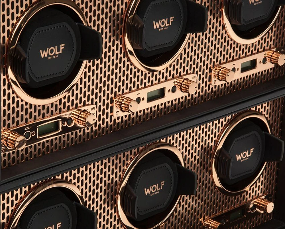 Axis 6 Piece Watch Winder 
