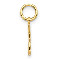 14K Yellow Gold Polished "#1 DAD" Charm - 17mm x 13mm