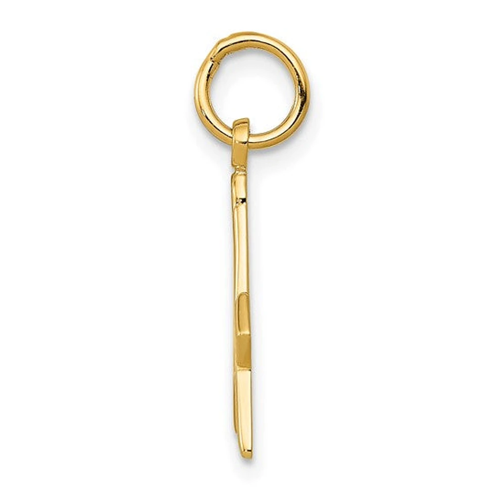 14K Yellow Gold Polished and Textured Masonic Symbol Charm - 20mm x 11mm