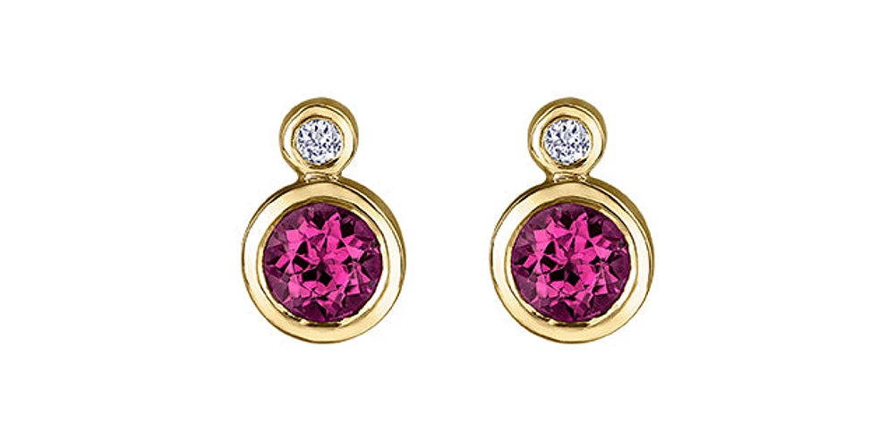 10K Yellow Gold Ruby and 0.01cttw Diamond Earrings