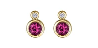 10K Yellow Gold Ruby and 0.01cttw Diamond Earrings