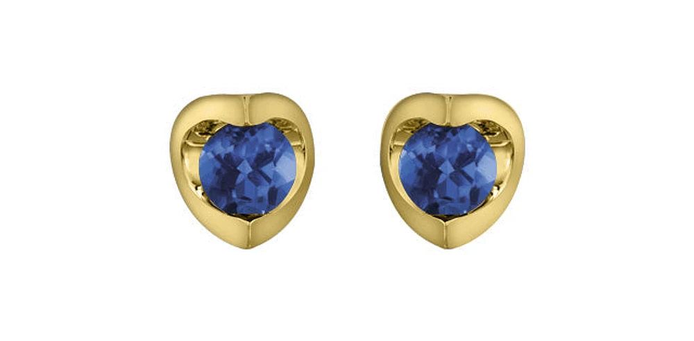 10K Yellow Gold Sapphire Earring