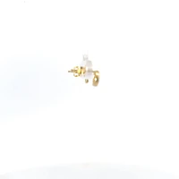 10K Yellow Gold 0.10cttw Canadian Diamond Earrings