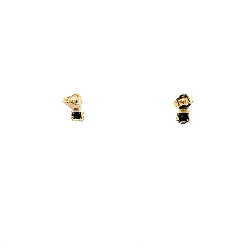 10K Yellow Gold Sapphire & Diamond Earring