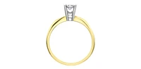 10K Yellow Gold 0.18Cttw Round Cut Illusion Set Diamond Engagement Ring - / White