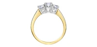 14K Yellow & White Gold 1.00cttw Diamond Engagement Ring