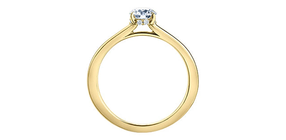 18K Yellow Gold 0.55cttw Round Brilliant Cut Canadian Diamond Hidden Halo Engagement Ring - / White