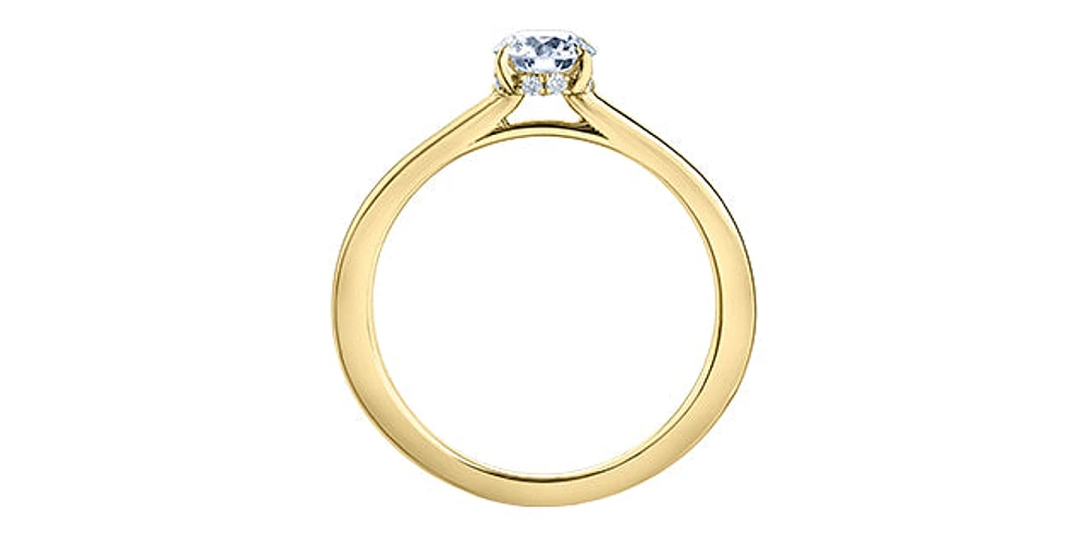 18K Yellow Gold 0.75cttw Round Brilliant Cut Canadian Diamond Hidden Halo Engagement Ring - / White