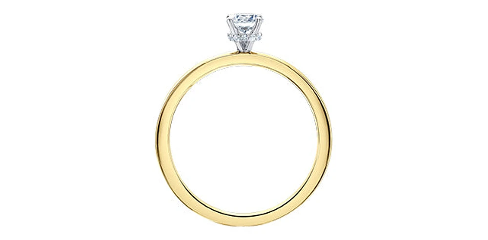 18K Yellow Gold 1.03cttw Round Brilliant Cut Canadian Diamond Hidden Halo Engagement Ring - / White