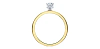 18K Yellow Gold 1.03cttw Round Brilliant Cut Canadian Diamond Hidden Halo Engagement Ring - / White