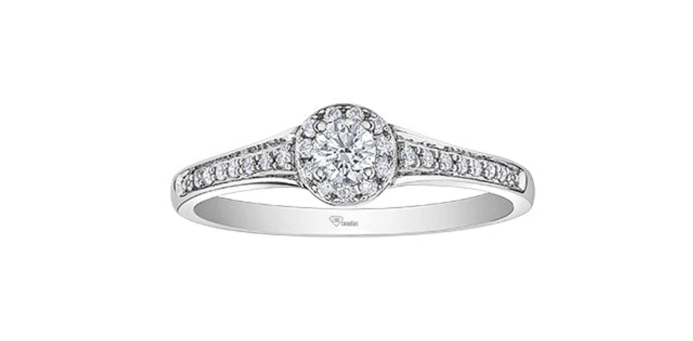 10K White Gold 0.25cttw Canadian Diamond Engagement Ring, Size 6.5