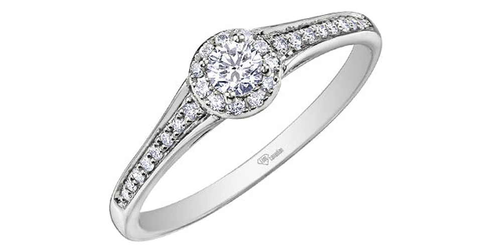 10K White Gold 0.25cttw Canadian Diamond Engagement Ring, Size 6.5