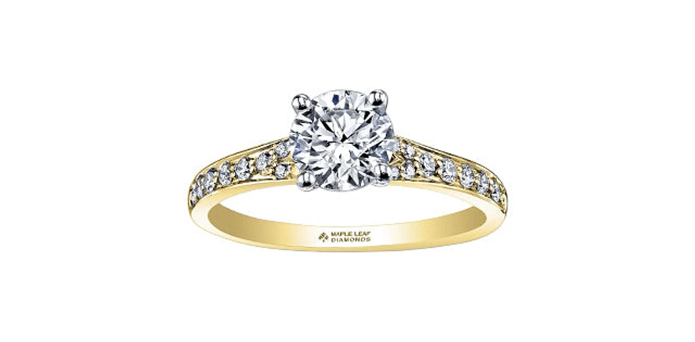 18K Yellow Gold 0.50cttw Round Brilliant Cut Canadian Diamond Engagement Ring - / 14K White