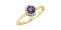10K Yellow Gold Amethyst and Diamond Ring