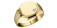 10K Yellow Gold 0.01cttw Diamond Gents Signet Ring, 10