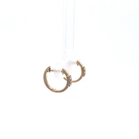 14K Yellow Gold cttw Diamond Hoop Earrings