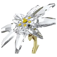 Swarovski Florere 130th Anniversary Bell Jar 5701376