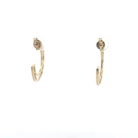 10K Yellow Gold 0.06cttw Diamond Earrings