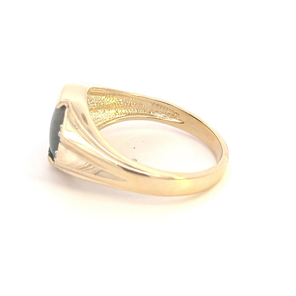 10K Yellow Gold 0.02cttw Diamond and Bloodstone Gents Ring, size 10