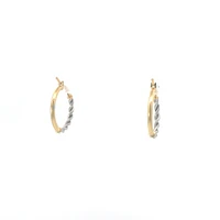 10K Yellow and White Gold Earrings