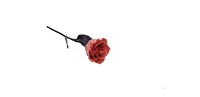 Copper Dipped Lacquered Genuine Pink Rose