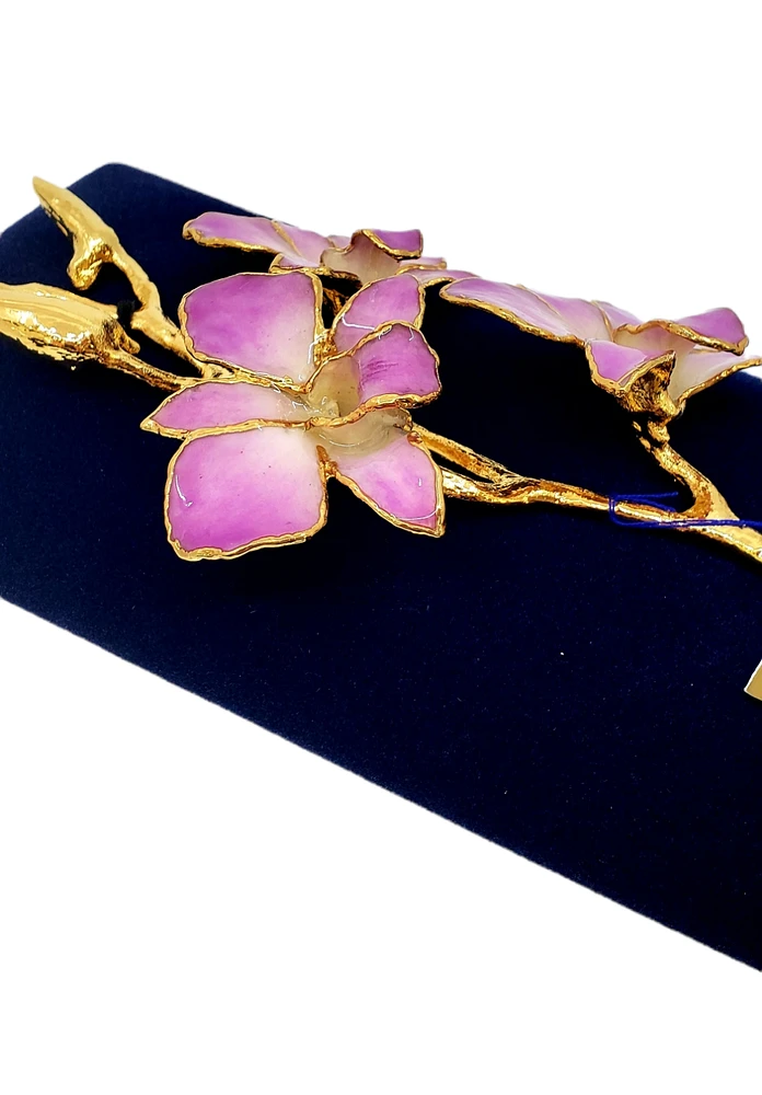 24K Gold Dipped Lacquered Genuine Lilac and White Real Orchid Stem