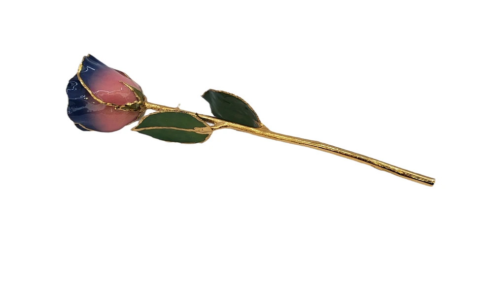 24K Gold Dipped Lacquered Genuine Pink and Navy Rose