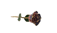24K Gold Dipped Lacquered Genuine Pink and Navy Rose