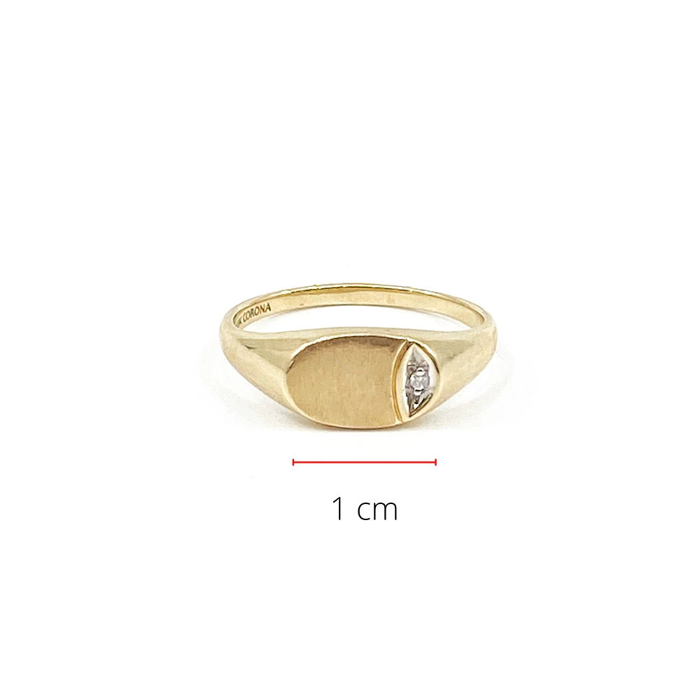 10K Yellow Gold 0.008cttw Diamond Signet Ring, size 6