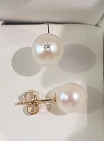 14K Gold 6.5-7.0mm Cultured Pearl and 0.025cttw Diamond Earrings with Butterfly Backs