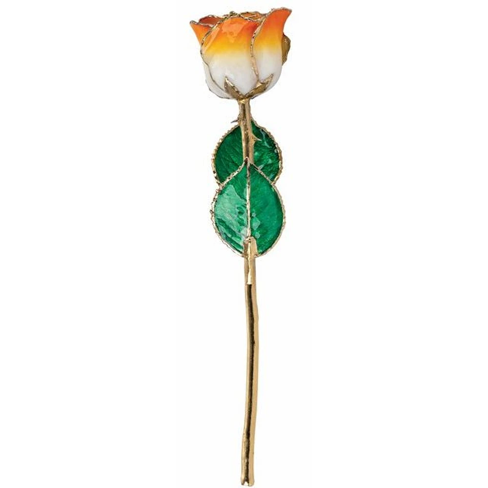 24K Gold Dipped Lacquered Genuine Rose
