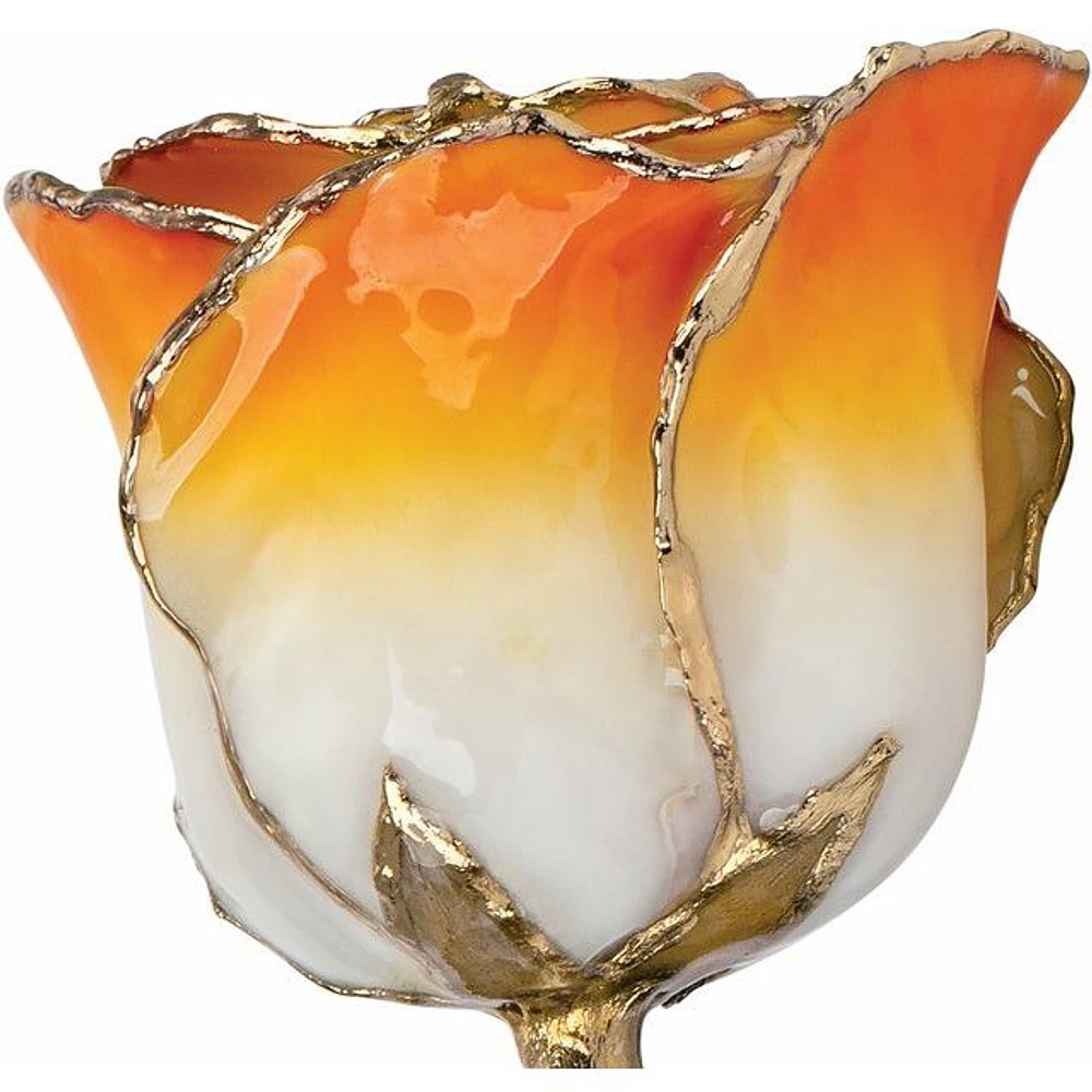 24K Gold Dipped Lacquered Genuine Rose