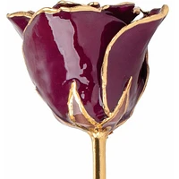 24K Gold Dipped Lacquered Burgundy Genuine Rose