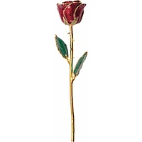 24K Gold Dipped Lacquered Ruby Sparkle Genuine Rose
