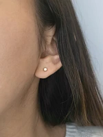 10K Yellow Gold Canadian Diamond Earrings