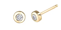 10K Yellow Gold Canadian Diamond Earrings