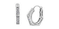 10K Gold 0.25cttw Diamond Hoop / Huggie / Hinged Earrings