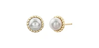 10K Yellow Gold 6mm Cultured Pearl Stud Earrings