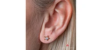 10K Yellow Gold 0.125cttw Canadian Diamond Star Stud Earrings