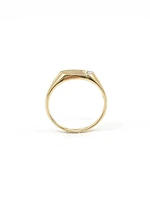10K Yellow Gold 0.008cttw Diamond Signet Ring, size 6