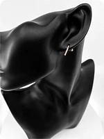 10K Rose Gold 0.11cttw Diamond Line Earrings