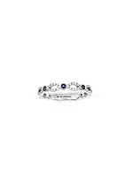 10K White Gold 0.28cttw Genuine Sapphire and 0.18cttw Diamond Ring, size 6.5
